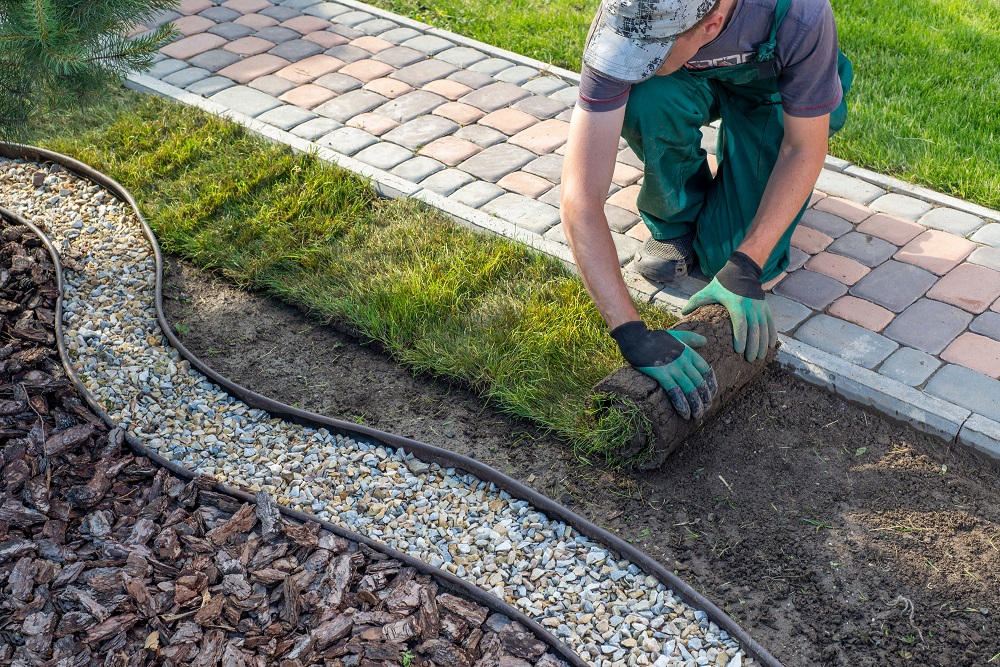 Landschaftsgärtner einer Firma für Gartenbau verlegt einen Rollrasen im Garten eines Kunden